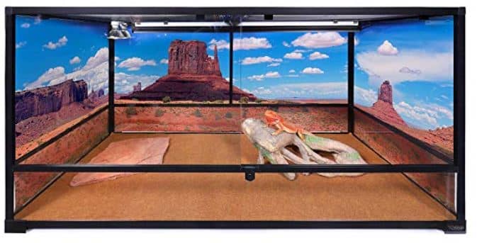 Best Snake Terrariums for Your Pet Snake (Ultimate Guide)