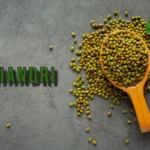 Koriandri: Exploring the Health Benefits and Nutritional Value